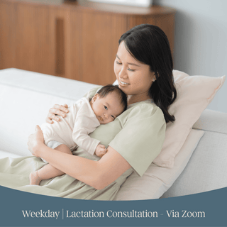 Weekday | Lactation Consultation - via Zoom