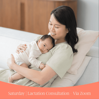 Saturday | Lactation Consultation - via Zoom